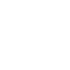 Sega W T
