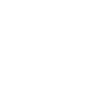 Nexon W